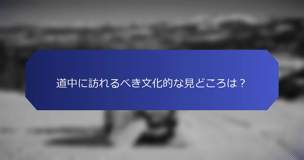 道中に訪れるべき文化的な見どころは？